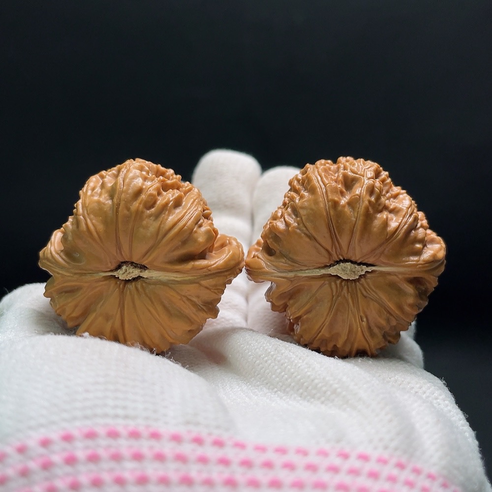 W34993525 Walnut Total weight approx. 33.7g Size approx. 39.3mm
