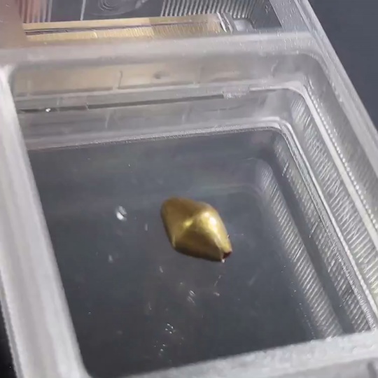 W26983502 Old Bead Zhubo Rating Open Box Qing Dynasty Double-Cone Gold-Plated Bead (Gold Lacquer) Gold Purity Approximately 90%