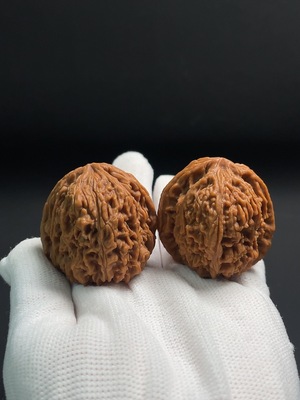 W41947696 核桃 货品总重约45.6g 卡41.1mm左右