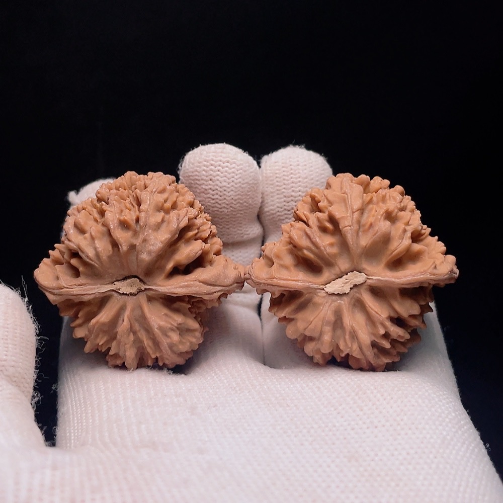 W32766043 Walnut, total weight about 45.1g, size about 41.2mm