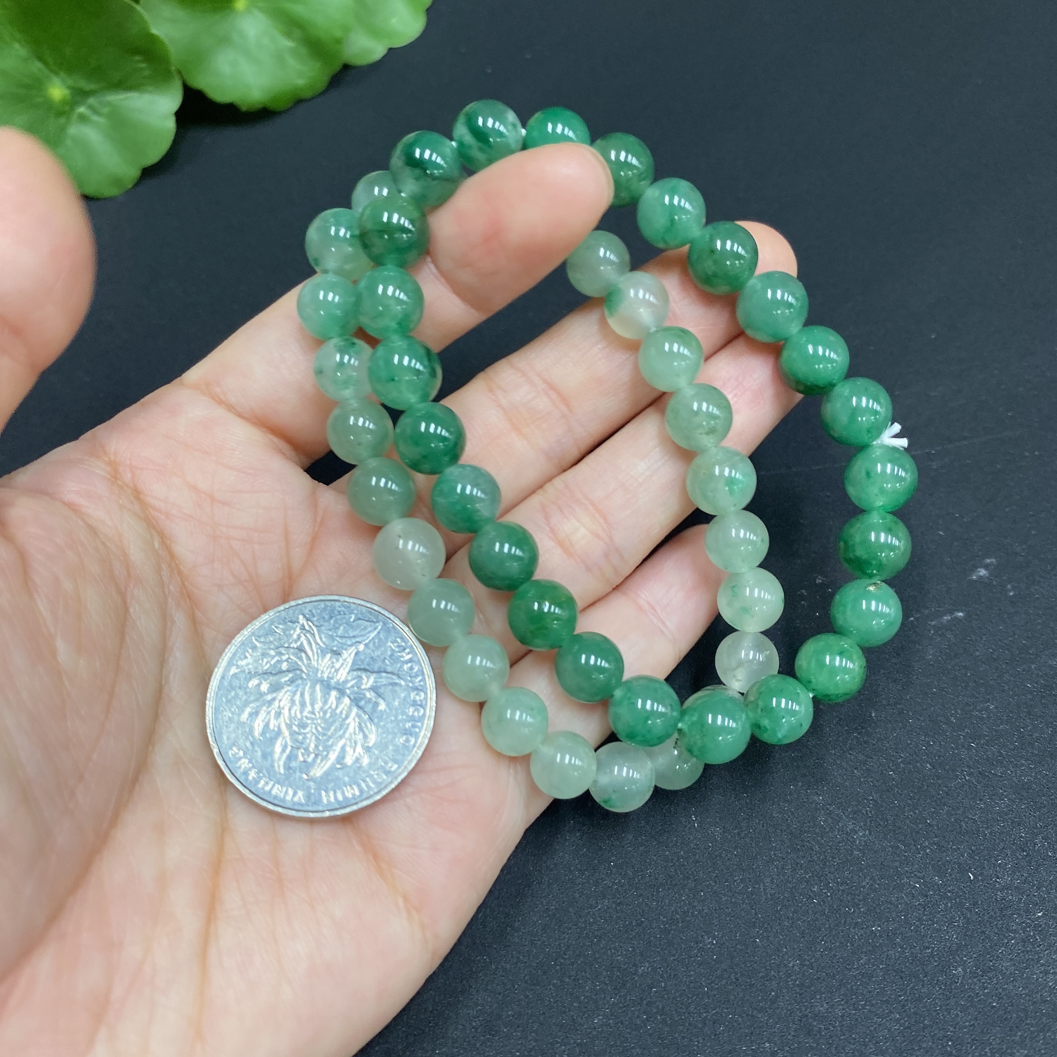 H34986688 Dulong jade