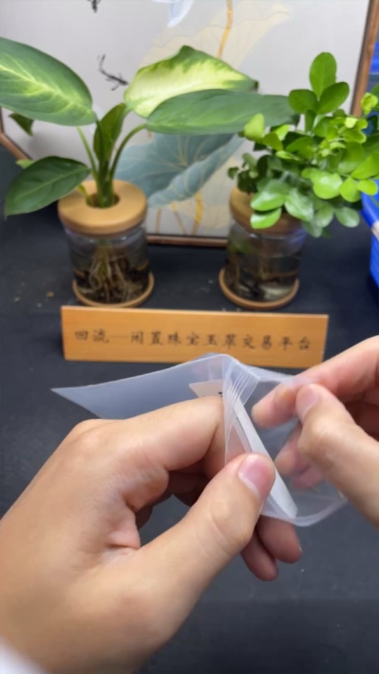 F33906811 Jadeite Plain Pendant Inlaid Pendant (74% Gold Content) Total Weight Approximately 2g