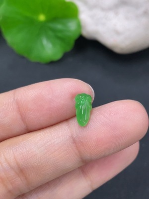 F41934504 翡翠镶嵌件 货品总约重0.23g