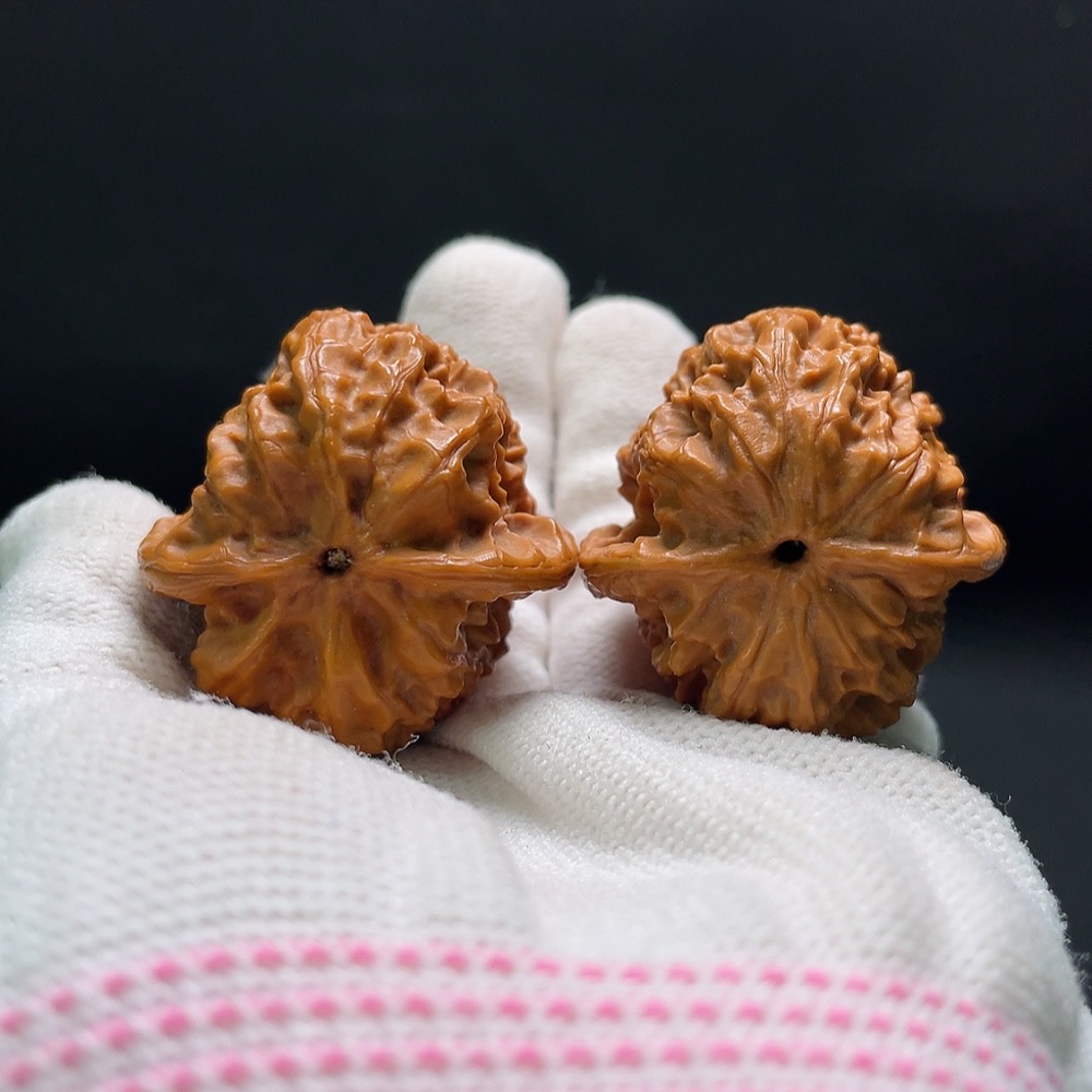 W34993549 Walnut Total weight approx. 33.6g Size approx. 39.9mm