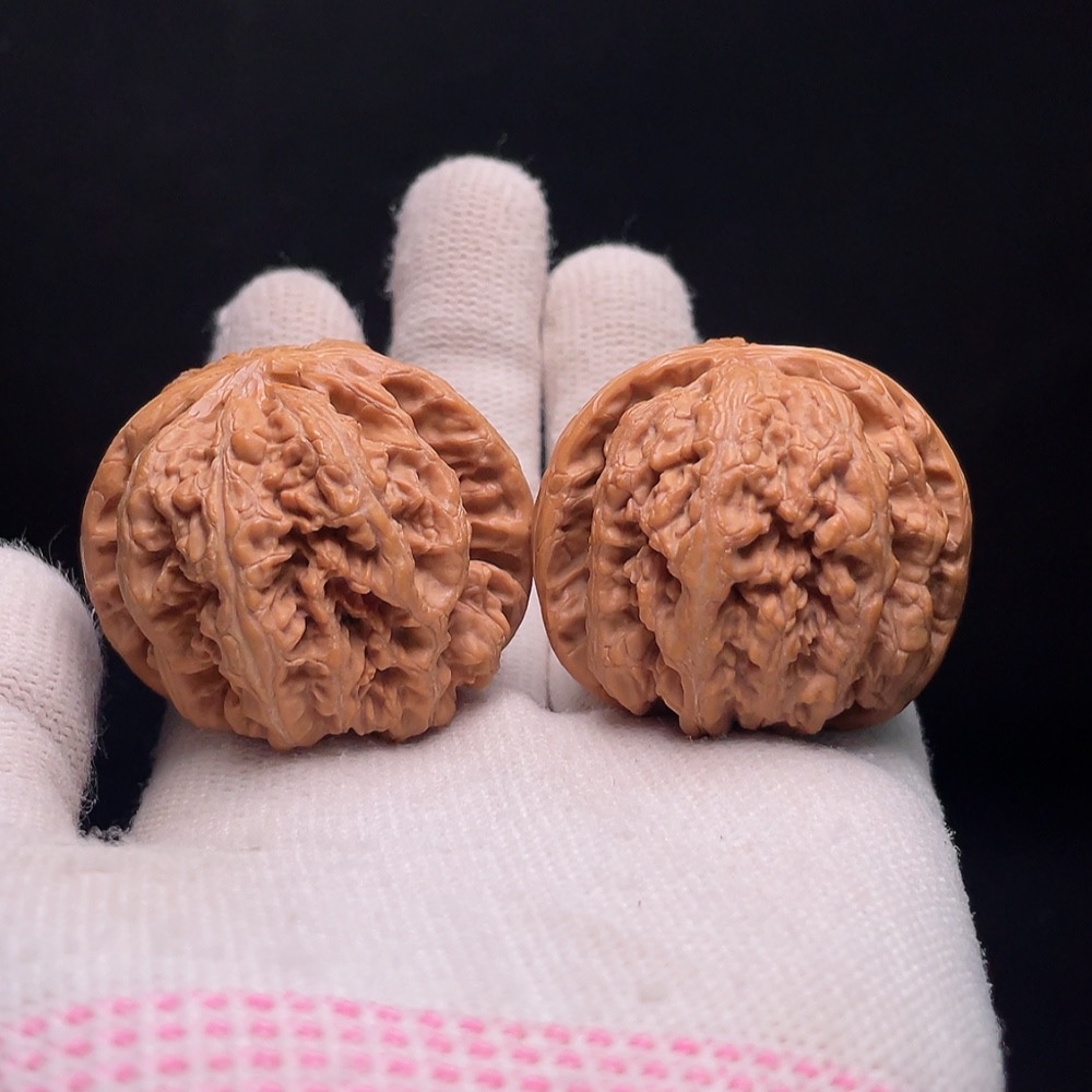 W33937035 Thick-veined Walnut