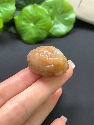 H41917155 和田玉龙龟挂件 总重约20.5g