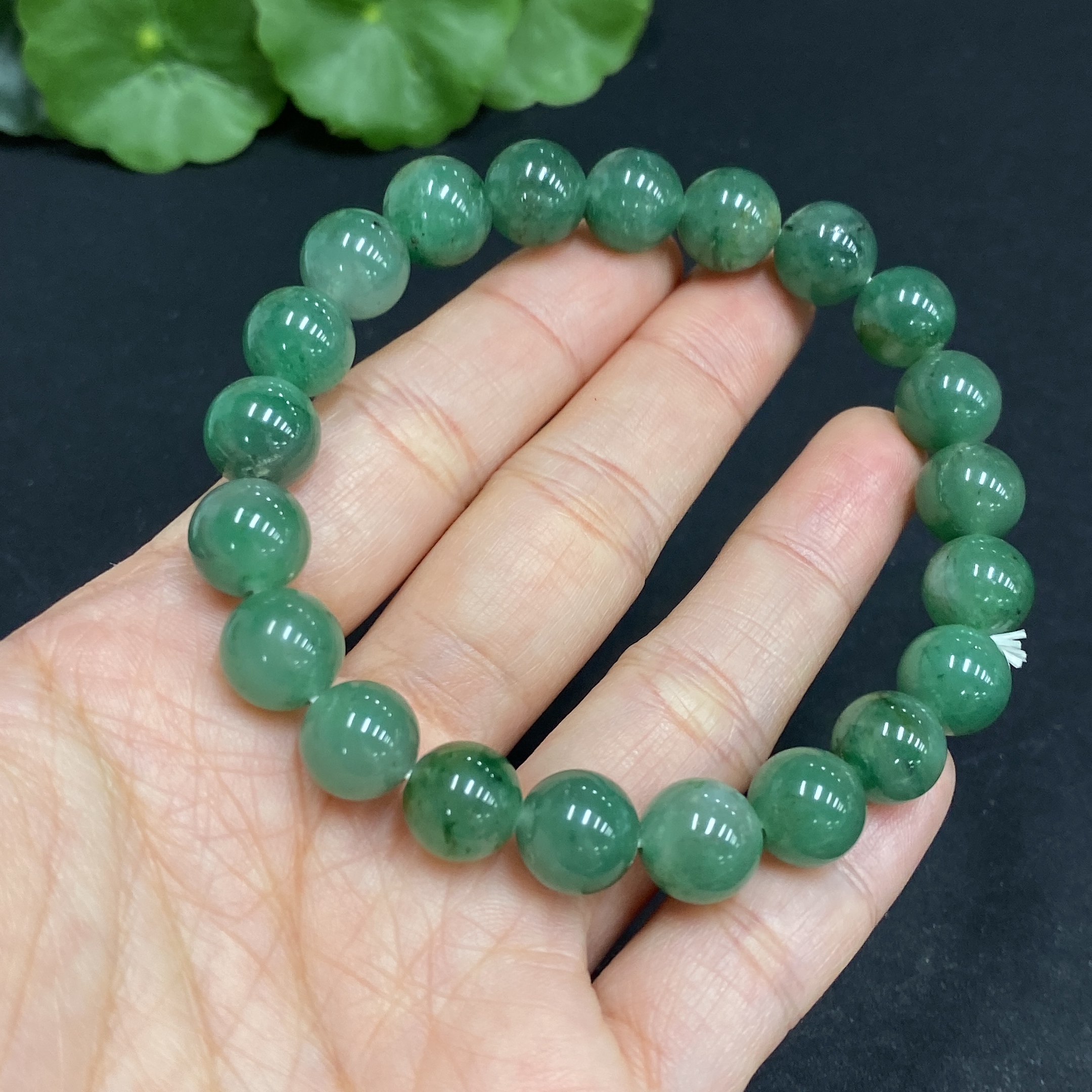 H32727094 Dulong Jade