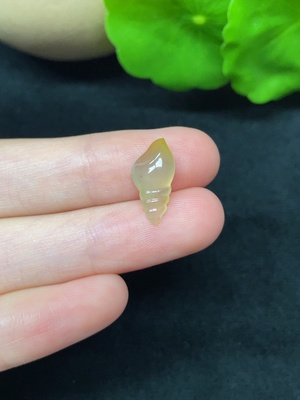 F45338376 翡翠海螺 总重约0.58g 颜色成因未定