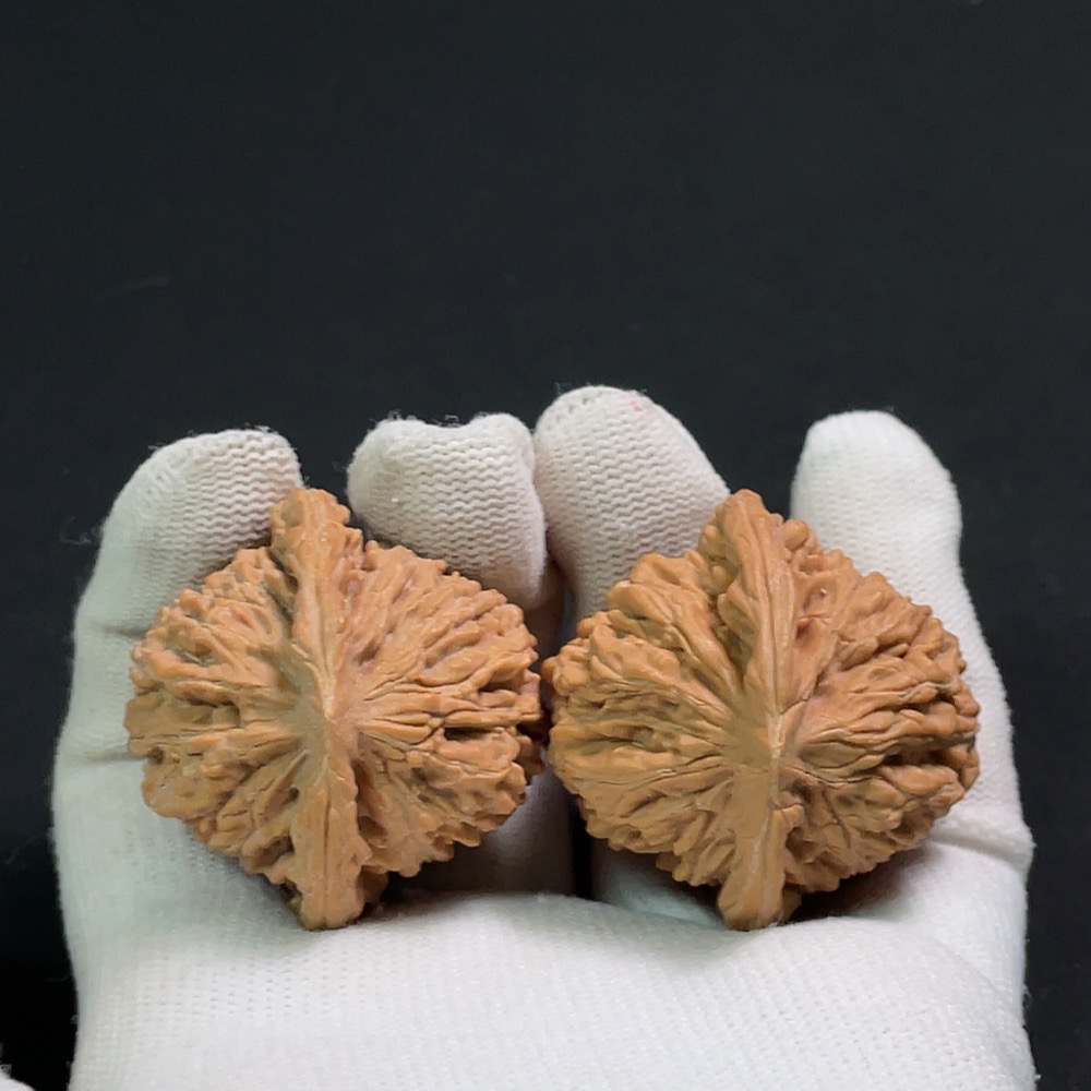 W29382528 Four Towers Building Walnut, Total Weight Approx. 41.05g