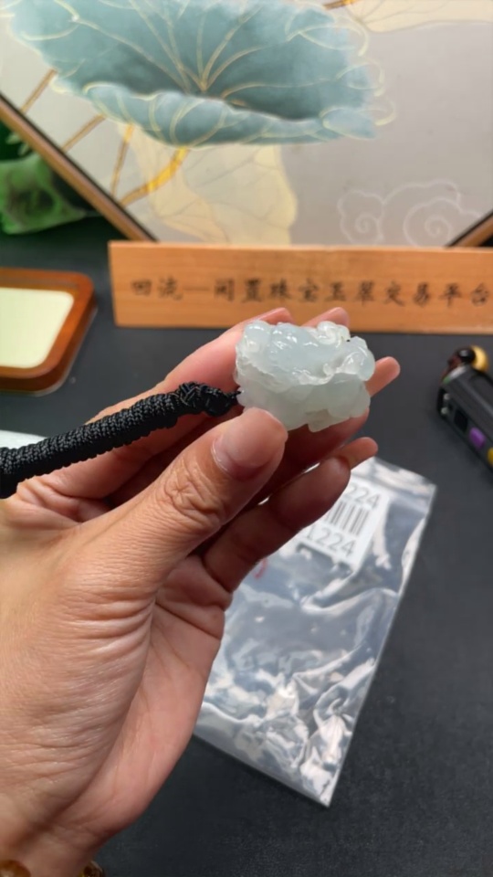 F30501224 Jadeite Pendant Pixiu with Cord Total Weight Approx. 25.85g