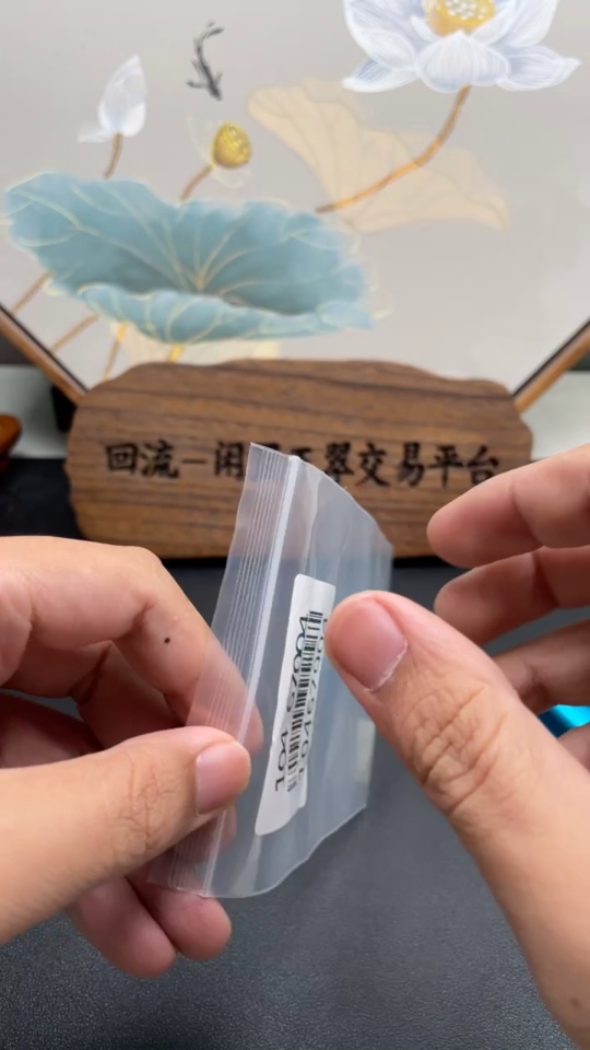 F10467004 Jadeite Plain Pendant Inlay