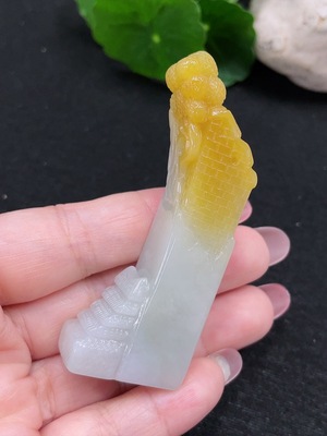 F32773623 color origin undetermined