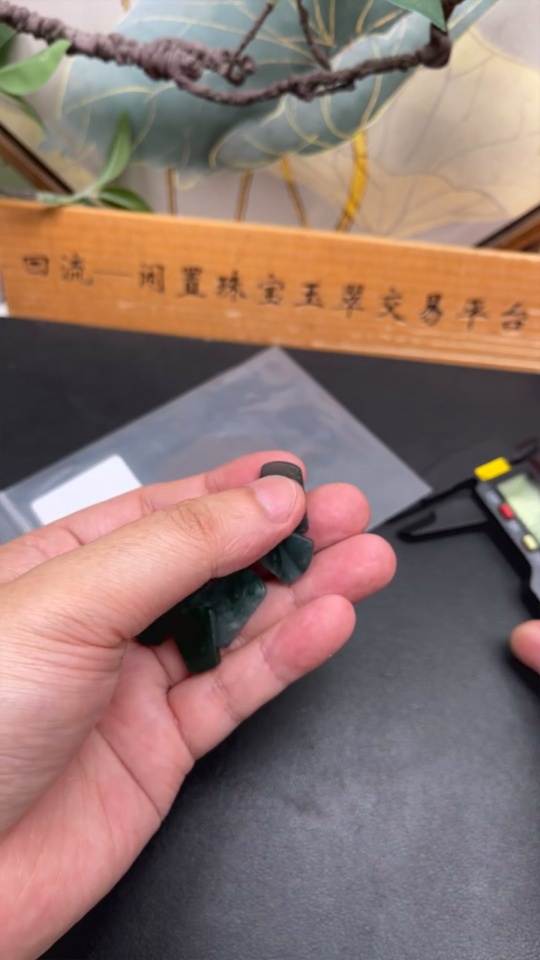 F35117738 Jadeite Rough Pendant Plain Pendant Sell as a Lot