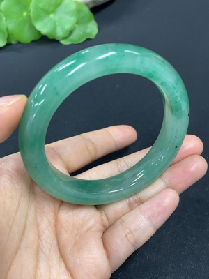 H41812649 非洲翠（独龙玉）正圈手镯    圈口54.6    货品总重约51g