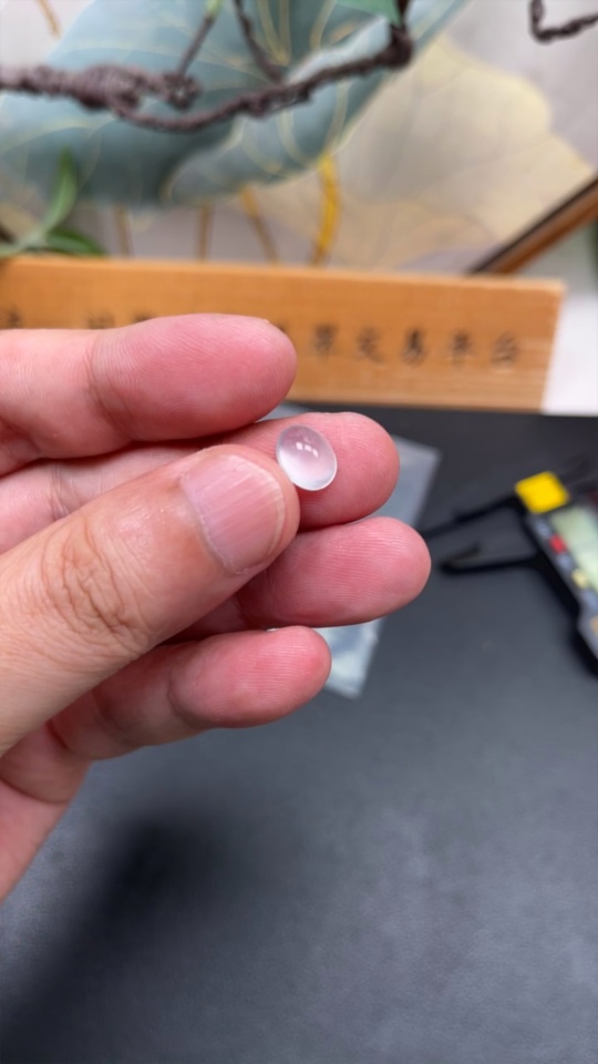 F35133931 Jadeite cabochon, total weight approx. 0.49g