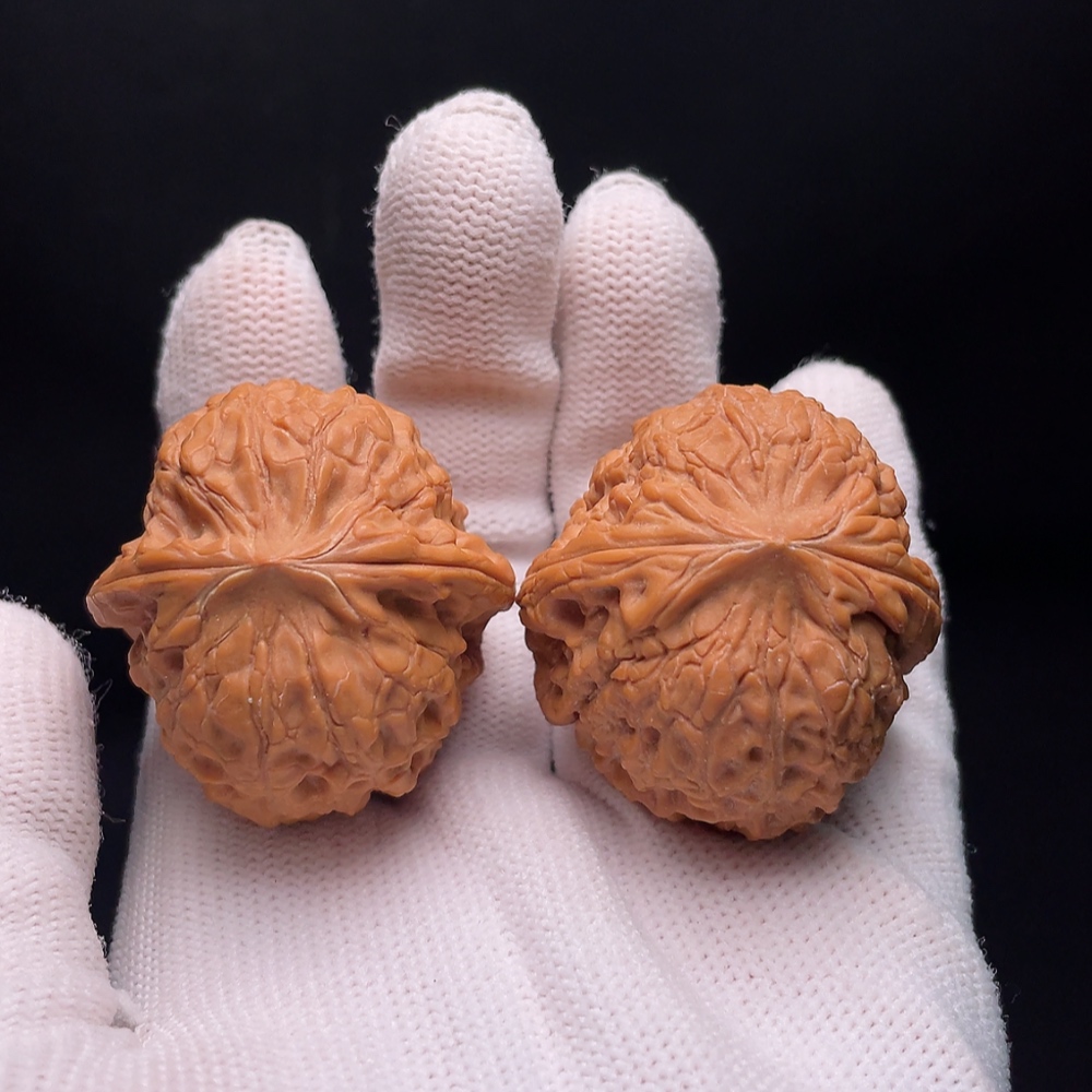 W34988121 Walnut Total weight approx. 35.92g Size approx. 39.4mm