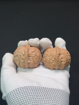 W28312636 Pumpkin-shaped Walnut