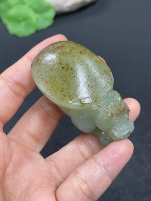 H42954588 和田玉挂件   龙龟     货品总重约58.5g      皮色成因未定