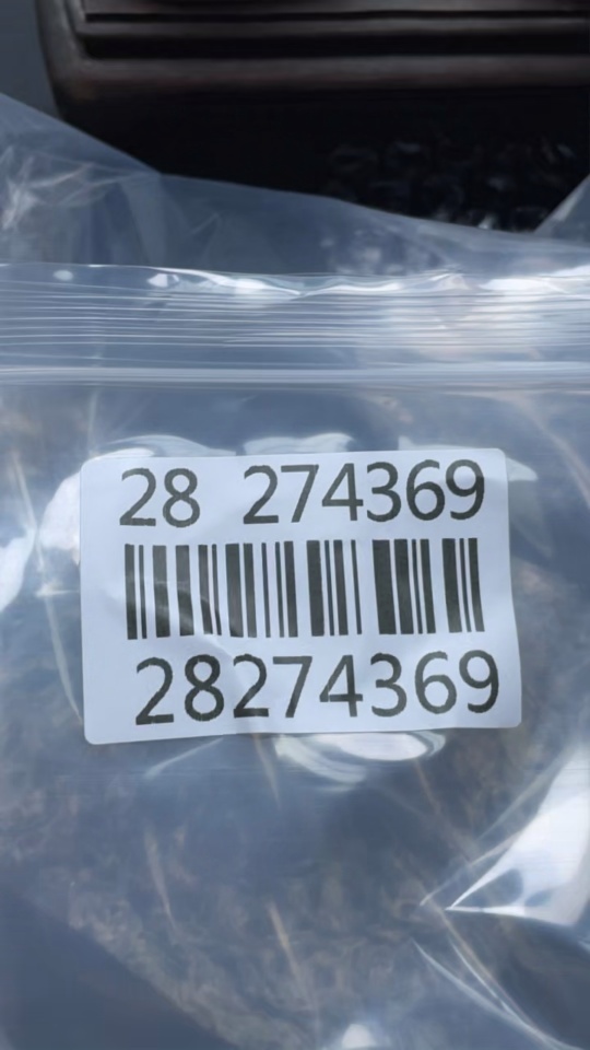 H28274369 Shoushan Stone Ornament - Gathering Under the Pine Tree