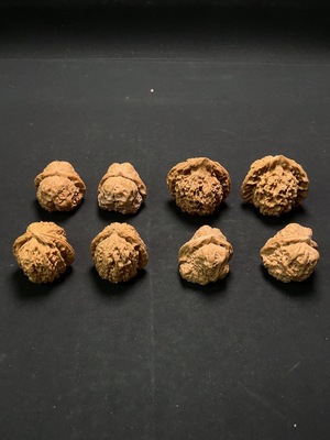 W34994177 Walnut Sell as a Lot