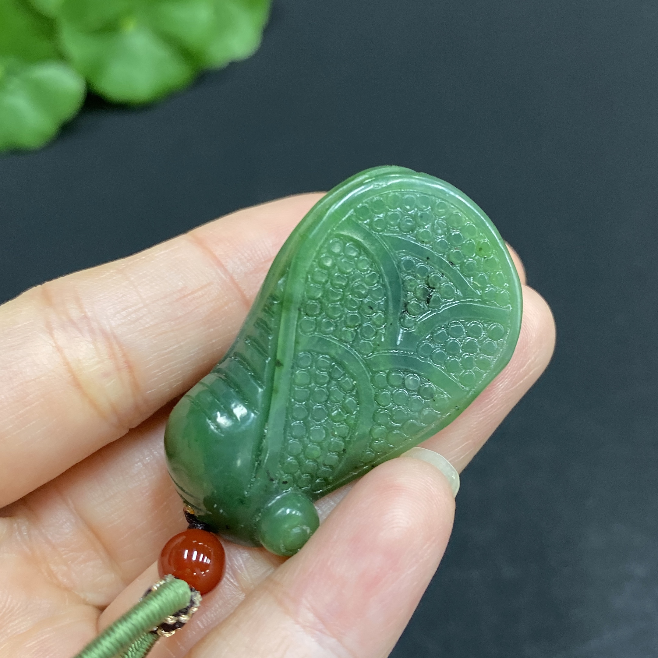 H33859945 一鸣惊人: A Startling Debut