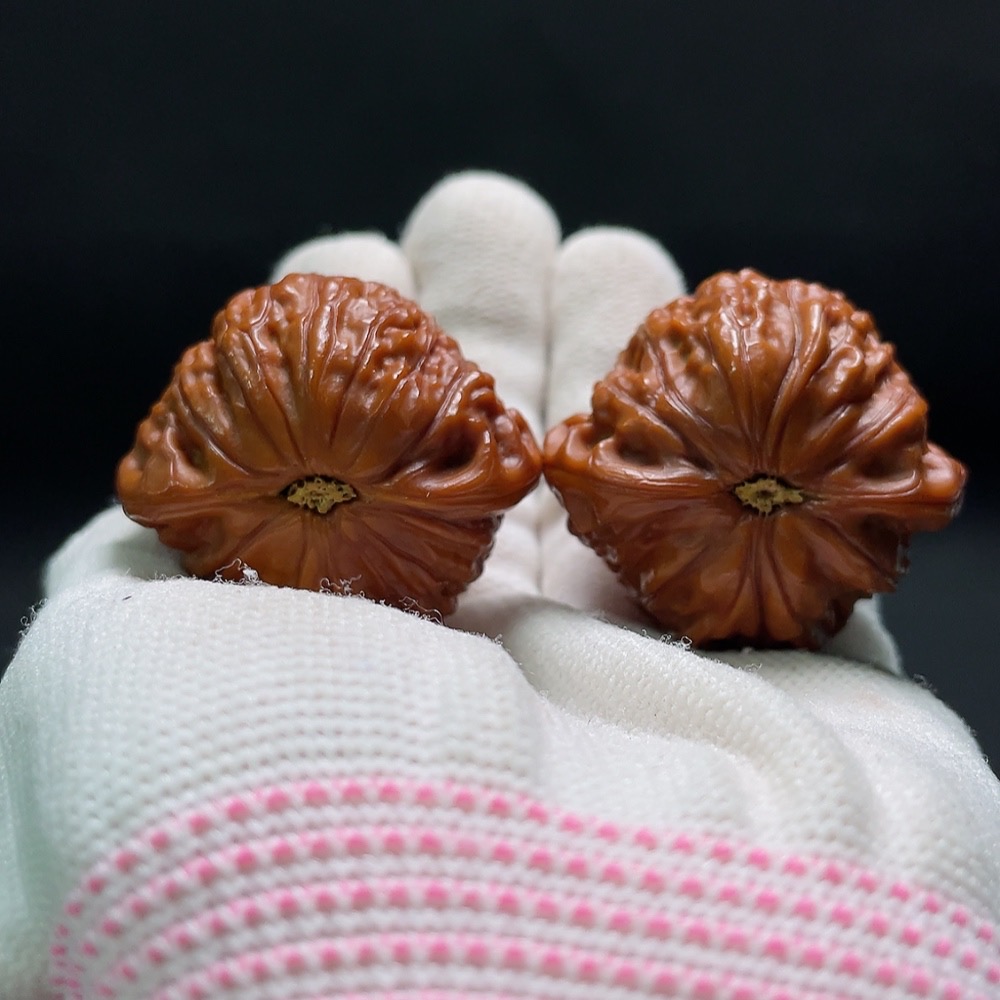 W34993799 Walnut Disc-shaped Total Weight Approx. 30.99g Size About 39.6mm