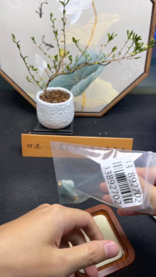 F33892702 Jadeite Pendants Sell as a Lot Non-Gold