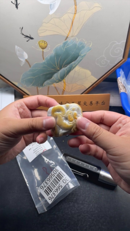 F30566376 Jadeite Dragon Pendant