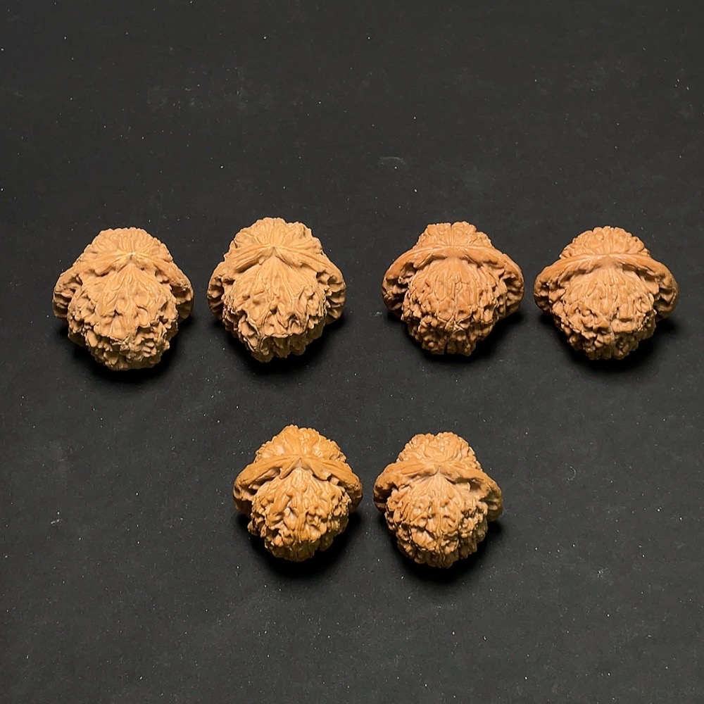 W24713378 Walnut Sell as a Lot