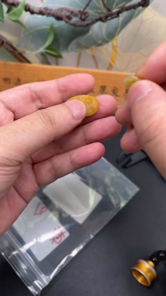 F34012170 Jadeite Pendant Rough Lot (Yellow Part Color Origin Undetermined)