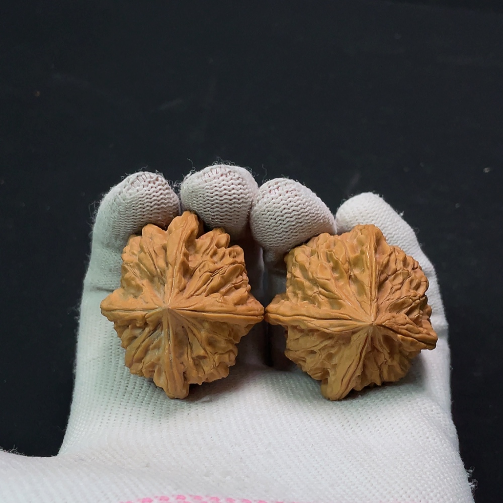 W24766112 Four-ridged Walnut, total weight approx. 31.57g