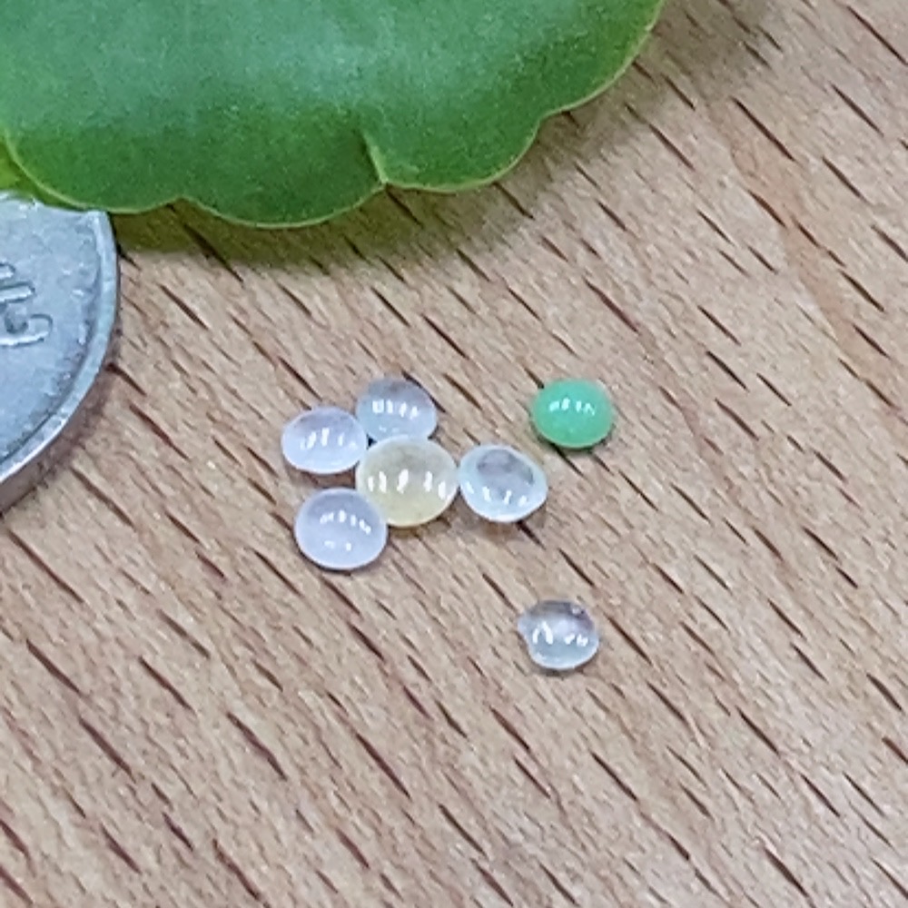 F32787789 Jadeite Cabochon Mounting Pieces Sell as a Lot Color Origin Undetermined