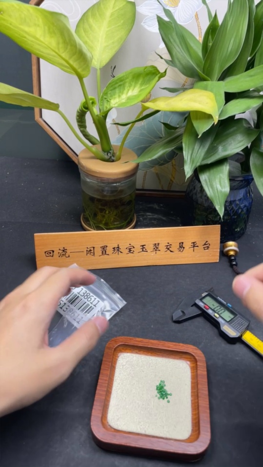 F35138611 Jadeite Cabochon 30+ Sell as a Lot Total Weight Approx. 0.7g (Incl. Small Bag Wt.)