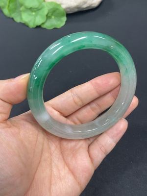 H41871609 非洲翠（独龙玉）正圈手镯    圈口60.8    货品总重约59g