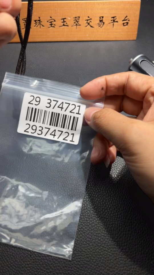 H29374721 Happy Bird on the Branch