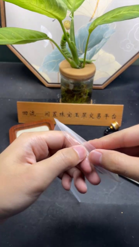 F34035130 Jadeite Cabochon Stud Earrings Sell as a Lot Non-Gold Setting