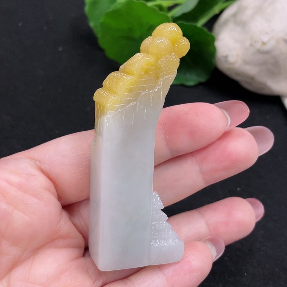 F32773623 color origin undetermined