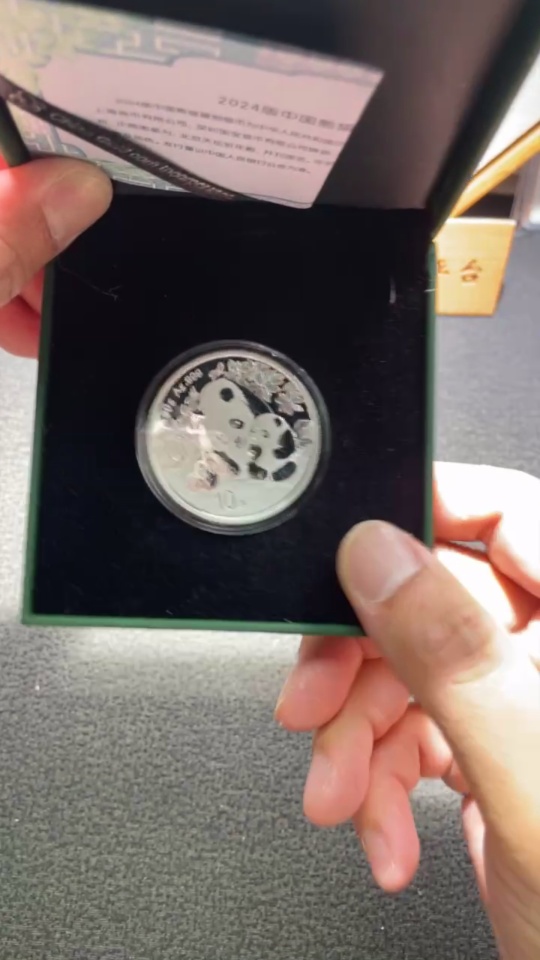 Q34987484 2024 China Panda Silver Coin 30g Pure Silver with Original Certificate and Box
