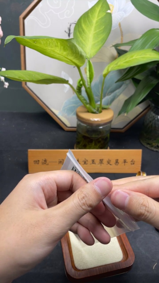 F34051504 Jadeite Inlaid Pieces Sell as a Lot Total Weight with Bag Approx.10.9g