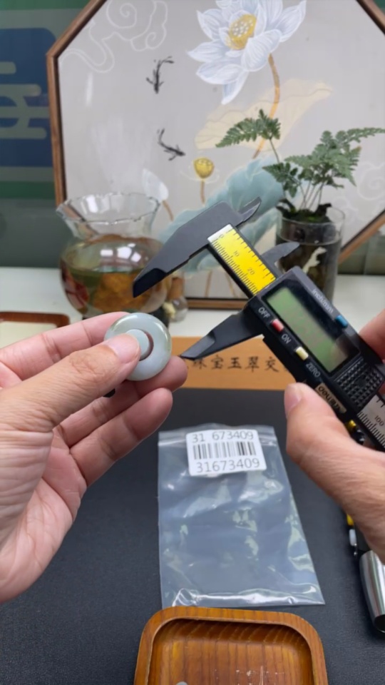 F31673409 Jadeite Pendant/Ring Lot Non-Gold