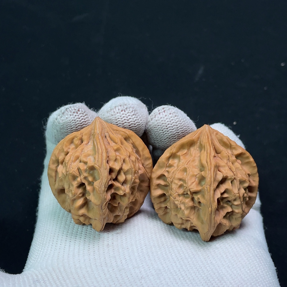 W24766112 Four-ridged Walnut, total weight approx. 31.57g