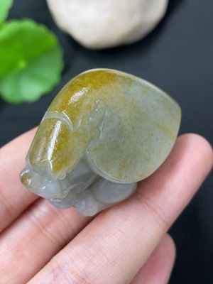 H43151498 和田玉挂件  龙龟 皮色成因未定   货品总重约50g