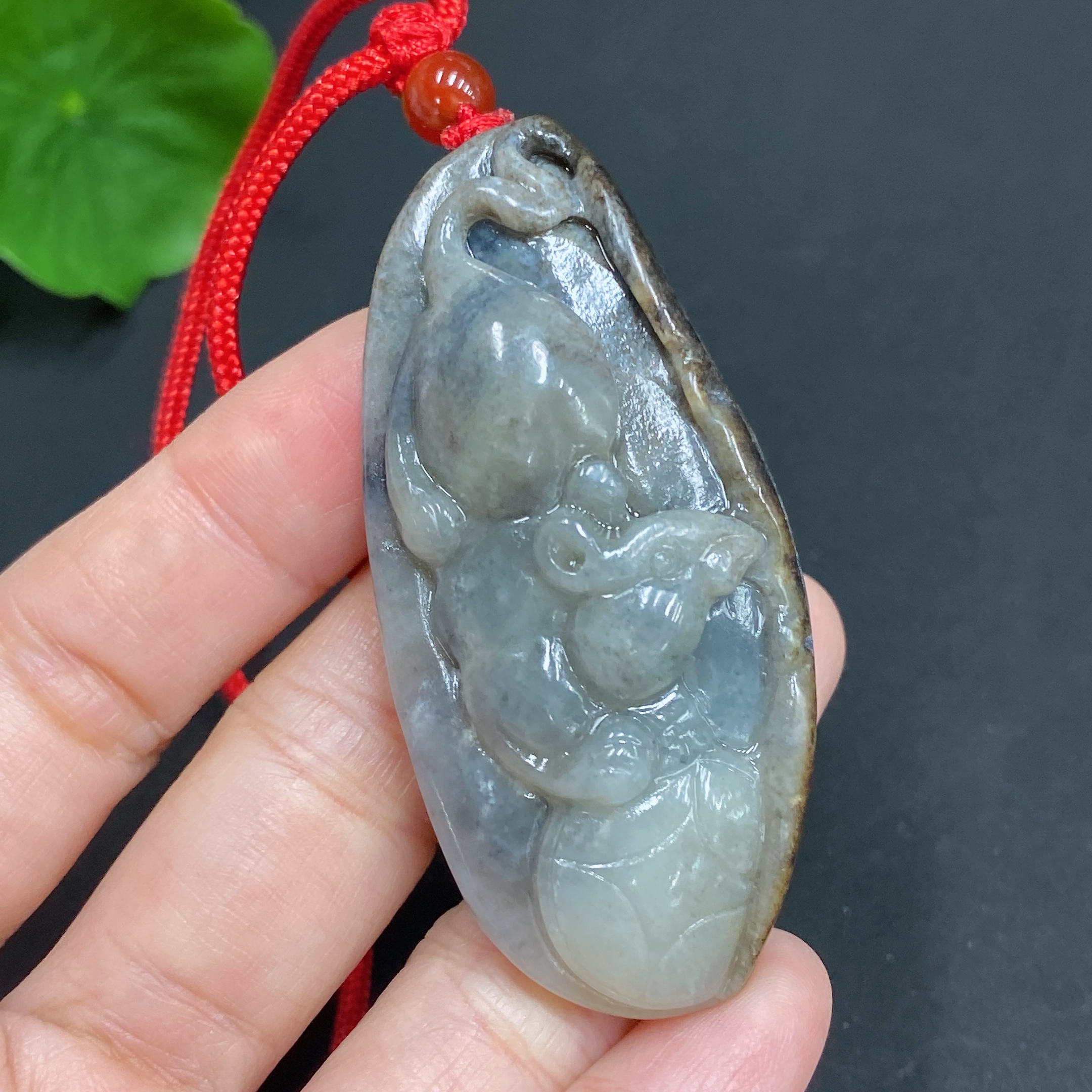 H22437789 Mouse Brings Wealth