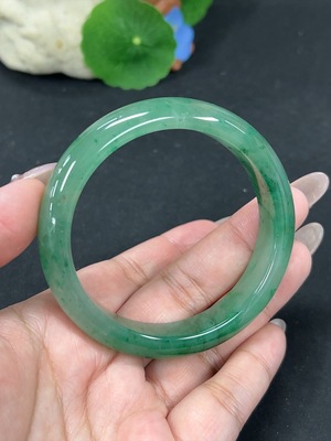 H41843761 非洲翠(独龙玉)正圈手镯 圈口57.9 货品总重约49.6g