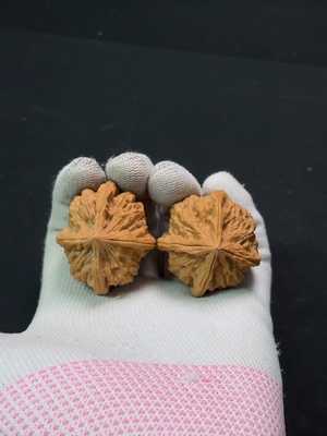 W24766112 Four-ridged Walnut, total weight approx. 31.57g