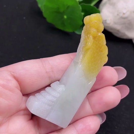 F32773623 color origin undetermined