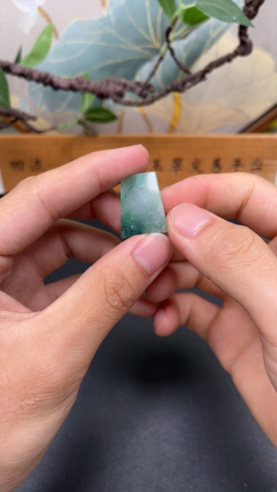 F31605149 Jadeite Inlaid Piece Total Weight Approx. 4.8g