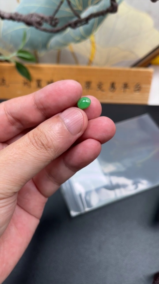 F34969171 Jadeite cabochon, total weight approximately 0.3g
