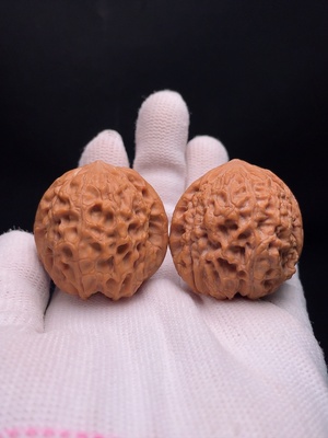 W34988121 Walnut Total weight approx. 35.92g Size approx. 39.4mm