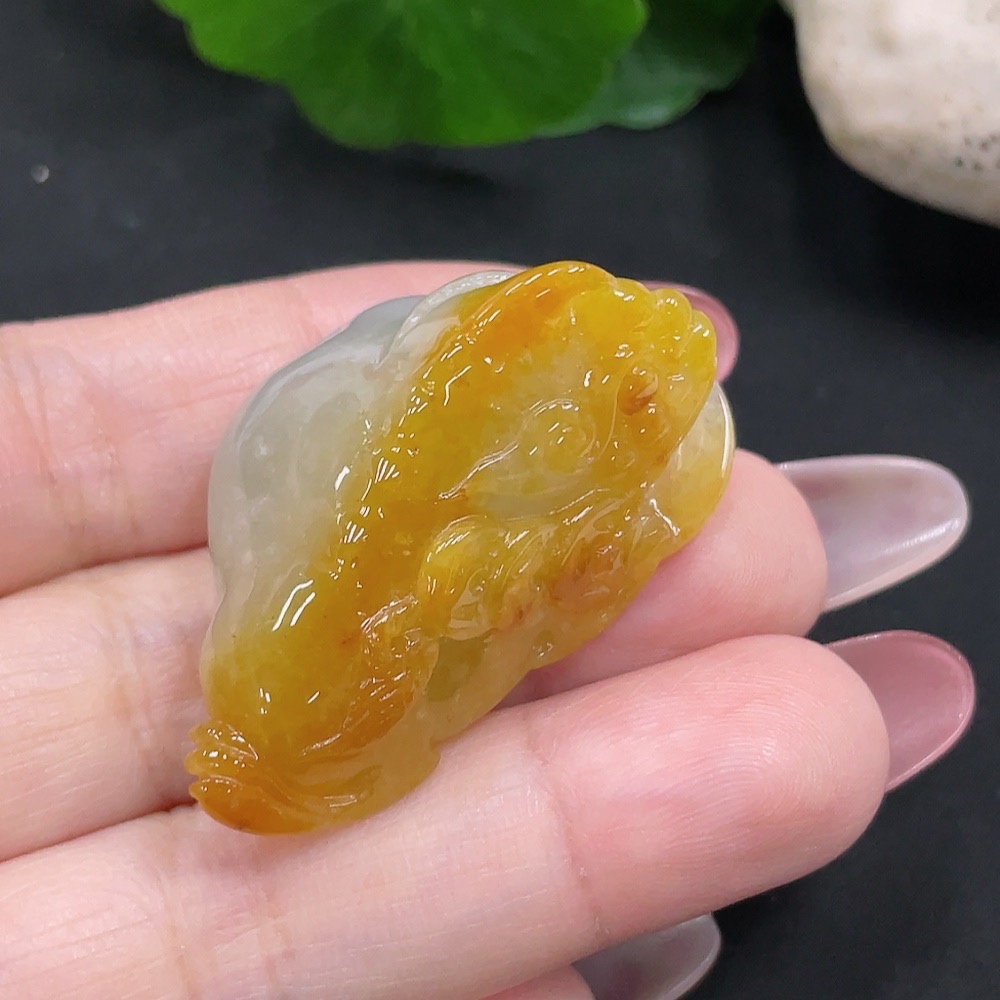 F34032326 Jadeite Tri-leg Golden Toad Pendant